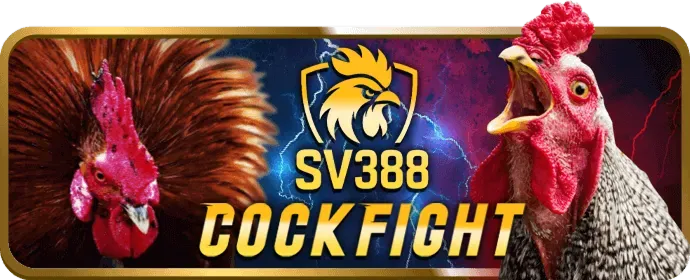 Ưu Đãi Sự Kiện Đặc Biệt